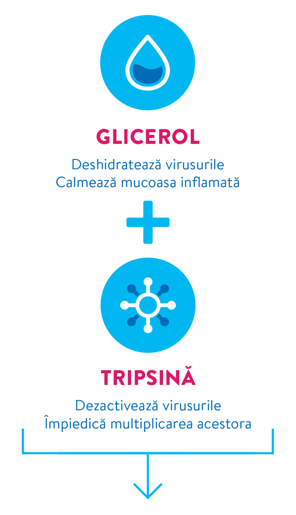 Glicerol Tripsina